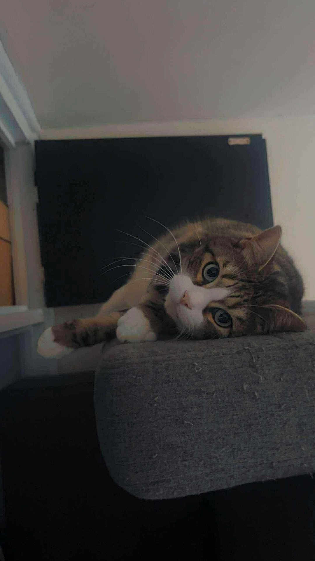 Romeo