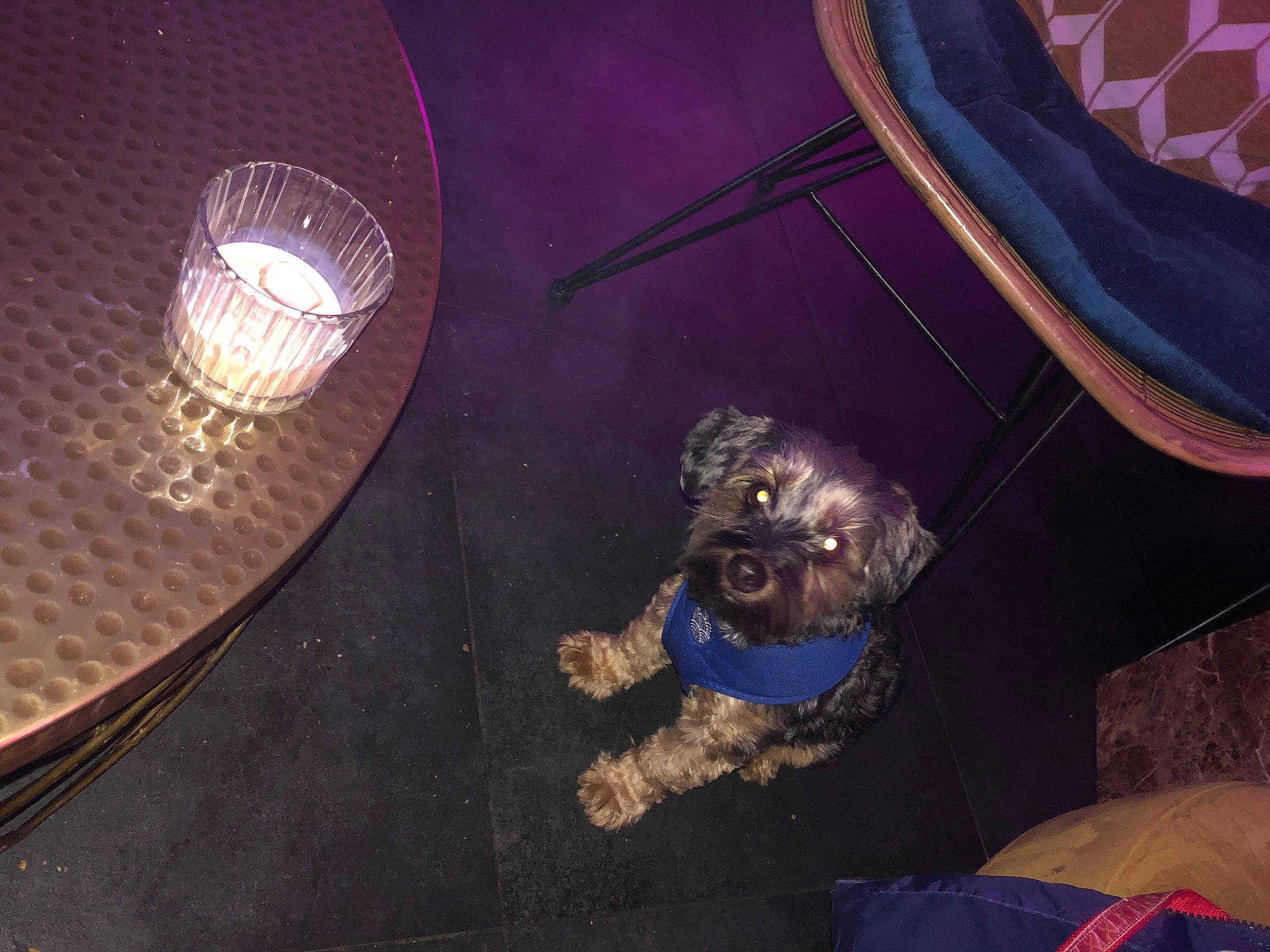 Capone participe au concours pour gagner de l'argent avec cette photo : automotive_lighting, ceiling, circle, darkness, electric_blue, fun, glass, headlamp, hood, light_bulb, light_fixture, lighting_accessory, metal, night, sky, space, still_life_photography