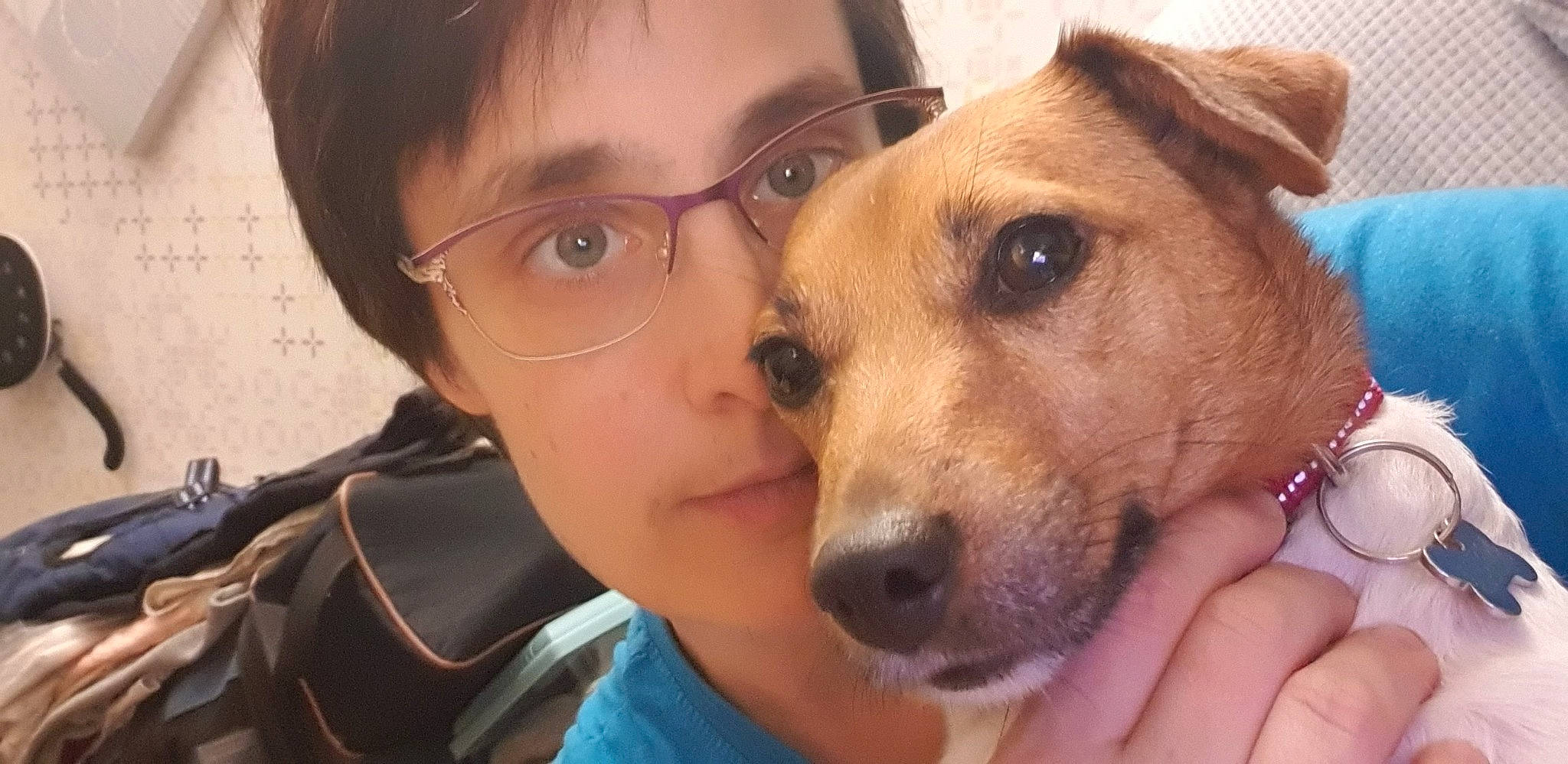 Noisette participe au concours pour gagner de l'argent avec cette photo : carnivore, companion_dog, dog, dog_breed, ear, eyelash, eyewear, fawn, fun, fur, glasses, happy, jaw, nose, selfie, snout, sporting_group, vision_care, whiskers, working_animal