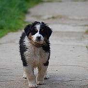 Looping participe au concours pour gagner de l'argent avec cette photo :