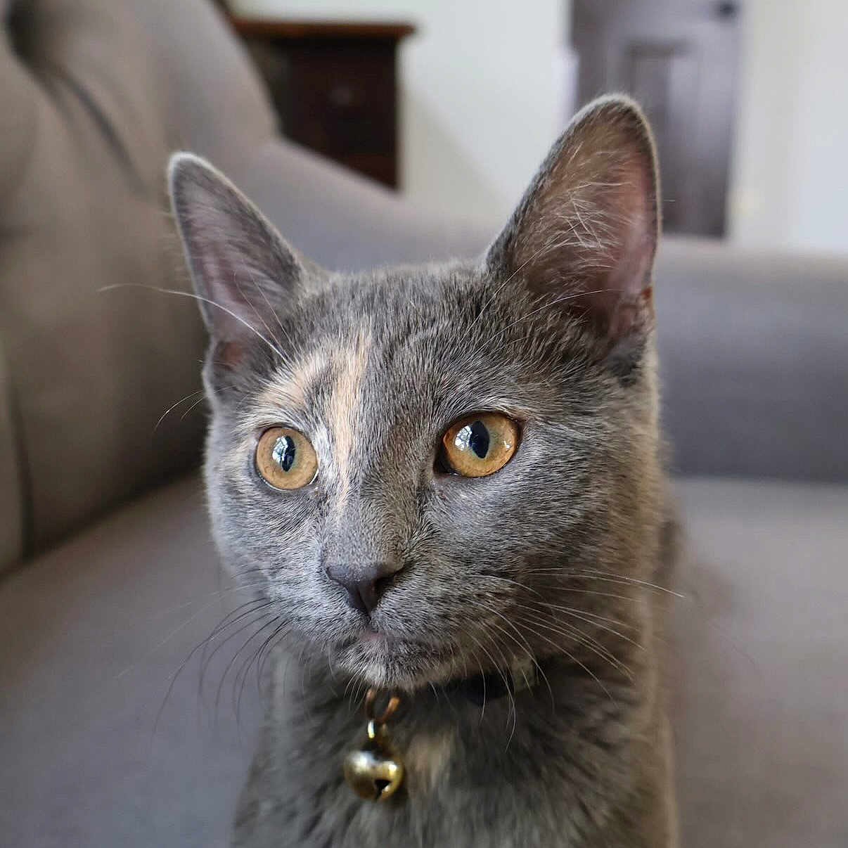 Stormi