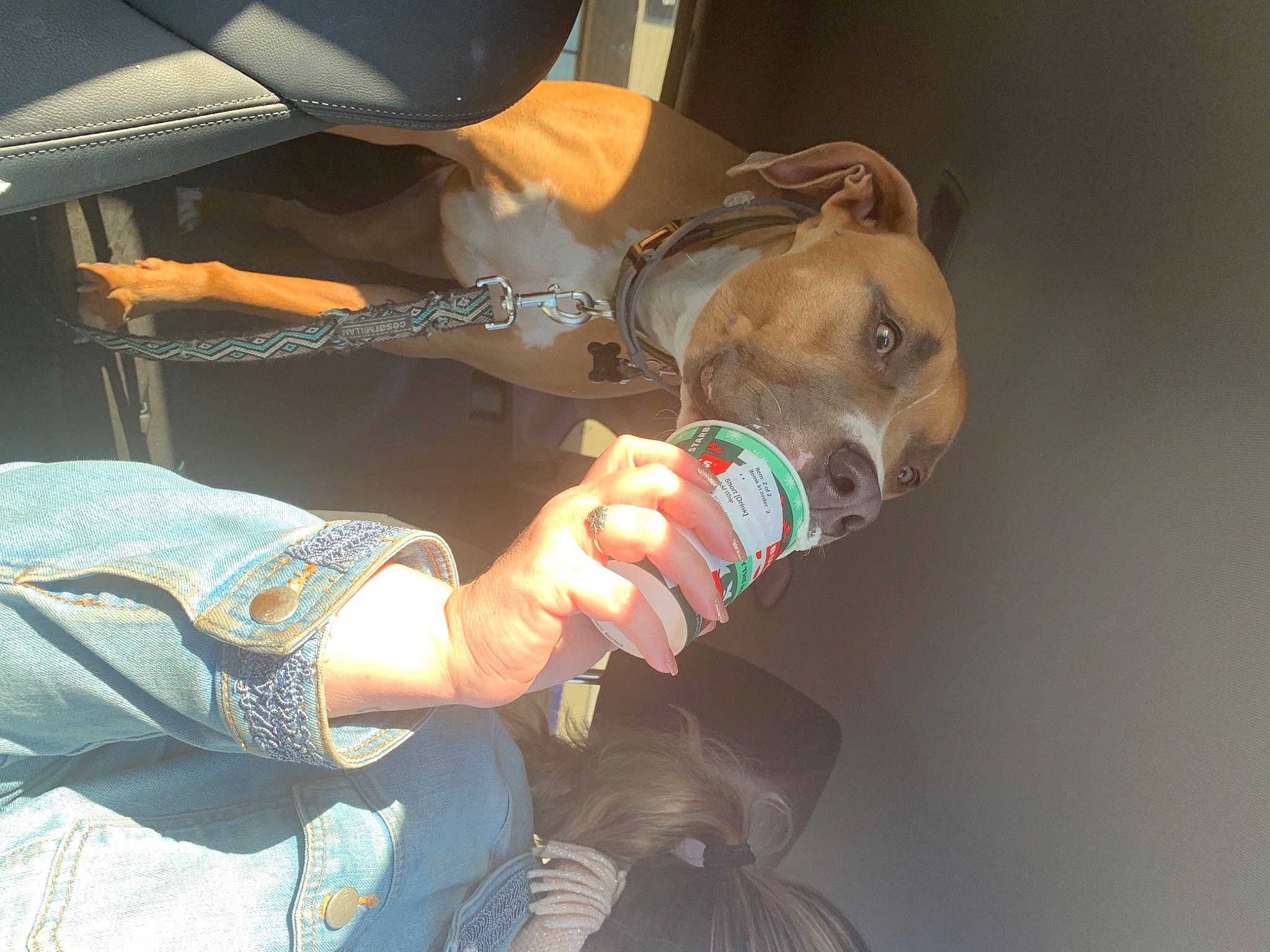 Marine is registered to the contest to win money with this photo: auto_part, automotive_exterior, automotive_lighting, automotive_window_part, dog, eyewear, fun, gesture, glass, glove, helmet, human_leg, machine, motor_vehicle, nail, personal_protective_equipment, service, vehicle_door, windshield, wrist