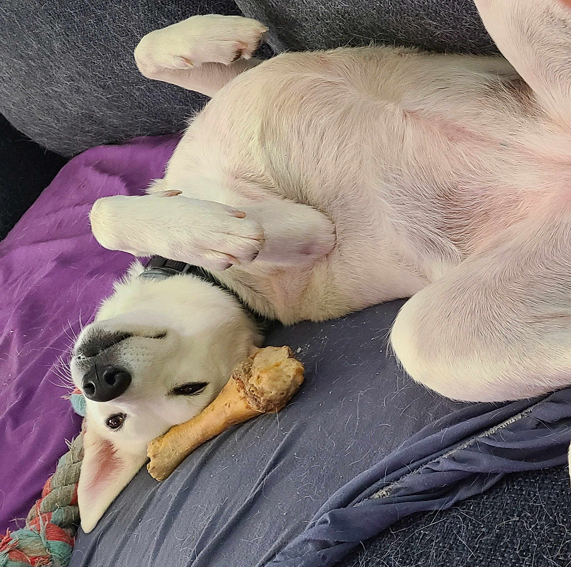 Luna