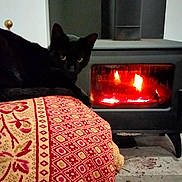 Olive participe au concours pour gagner de l'argent avec cette photo : black_cat, cat, feline, pet, animal, indoors, living_room, wood_stove, fireplace, fire, flames, cozy, warmth, blanket, patterned_blanket, red, gold, furniture, floor, resting