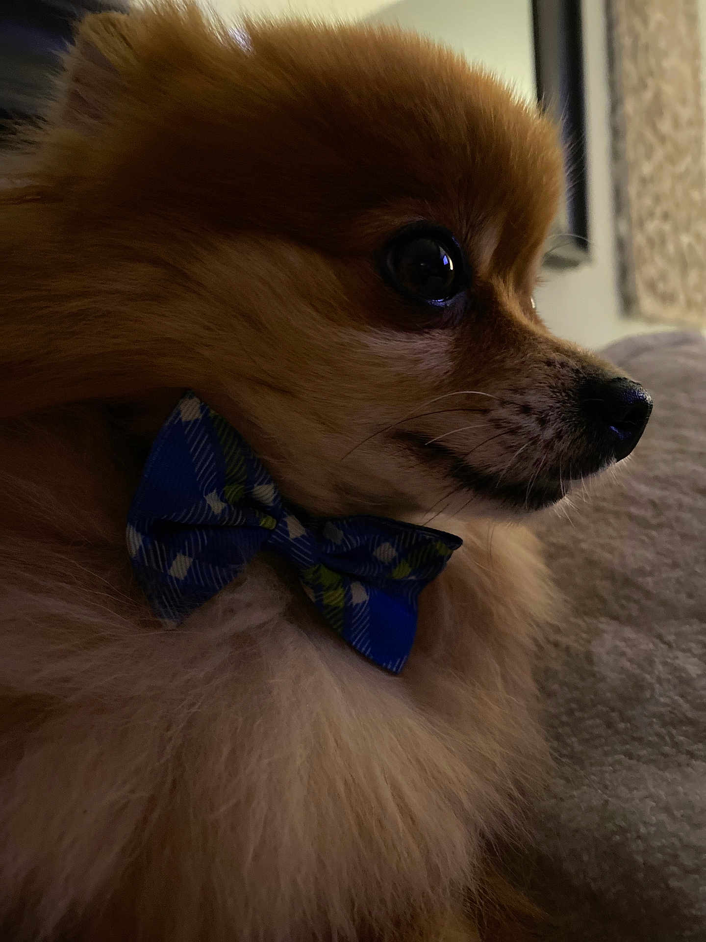 Gunnar