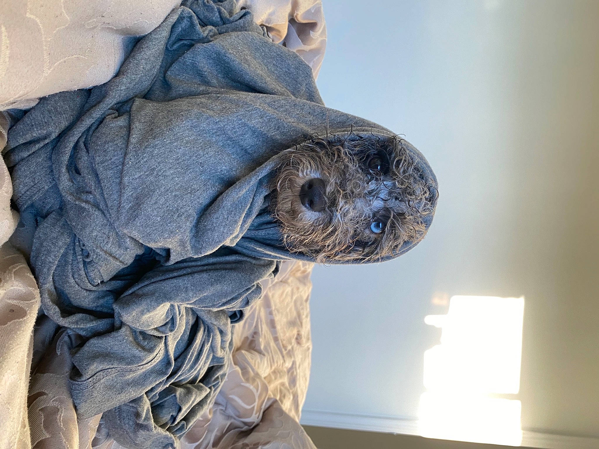 Modest joined the competition — help win amazing prizes! art, artifact, collar, electric_blue, grey, pattern, sculpture, sleeve, statue, wood