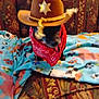 Puppy is registered to the contest to win money with this photo: dog, cowboy_hat, bandana, blanket, couch, patterned_fabric, indoor, pet, costume, brown, red, blue, floral_pattern, decor, furniture, animal, cute, sitting, small_dog, blurred