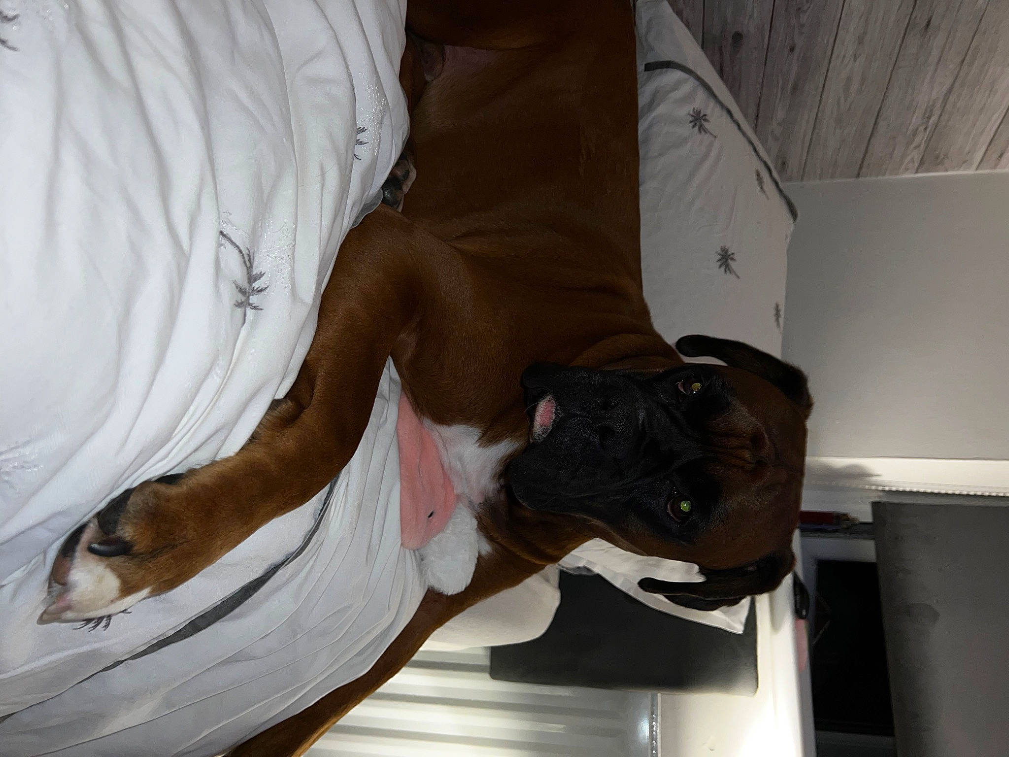 Albert joined the competition — help win amazing prizes! comfort, elbow, foot, hat, human_leg, knee, room, sleeve, sporting_group, thigh, wrist