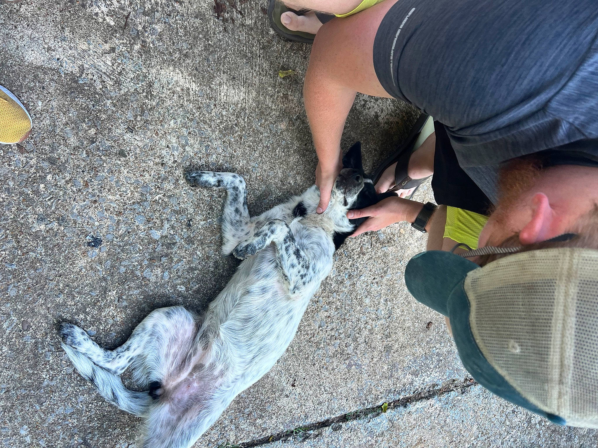 Lady is registered to the contest to win money with this photo: asphalt, bony_fish, concrete, crocodile, fish, fish_products, foot, fur, human_leg, leg, ray_finned_fish, reptile, road_surface, seafood, shoe, sneakers, soil, tail, thigh, wildlife_biologist