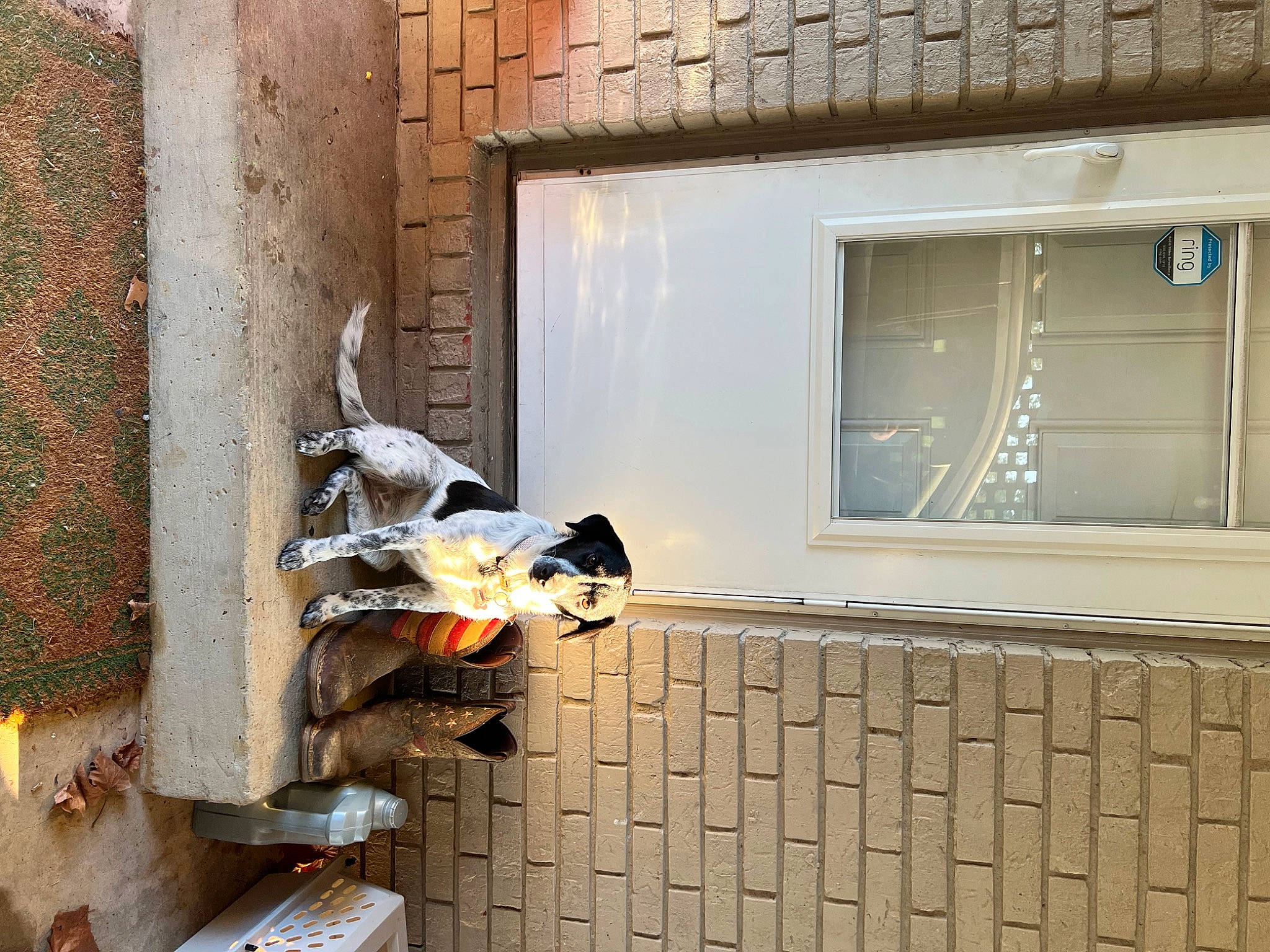 Lady joined the competition — help win amazing prizes! brick, brickwork, building, building_material, composite_material, daylighting, door, facade, fixture, home_door, house, room, sash_window, siding, wall, window, window_covering, wood