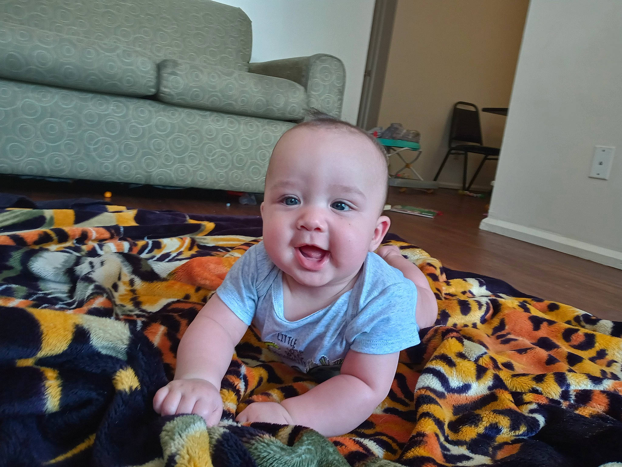 Larry joined the competition — help win amazing prizes! baby, baby_products, baby_toddler_clothing, chair, child, comfort, couch, door, floor, flooring, fun, hardwood, iris, pattern, person, room, sitting, smile, t_shirt, toddler