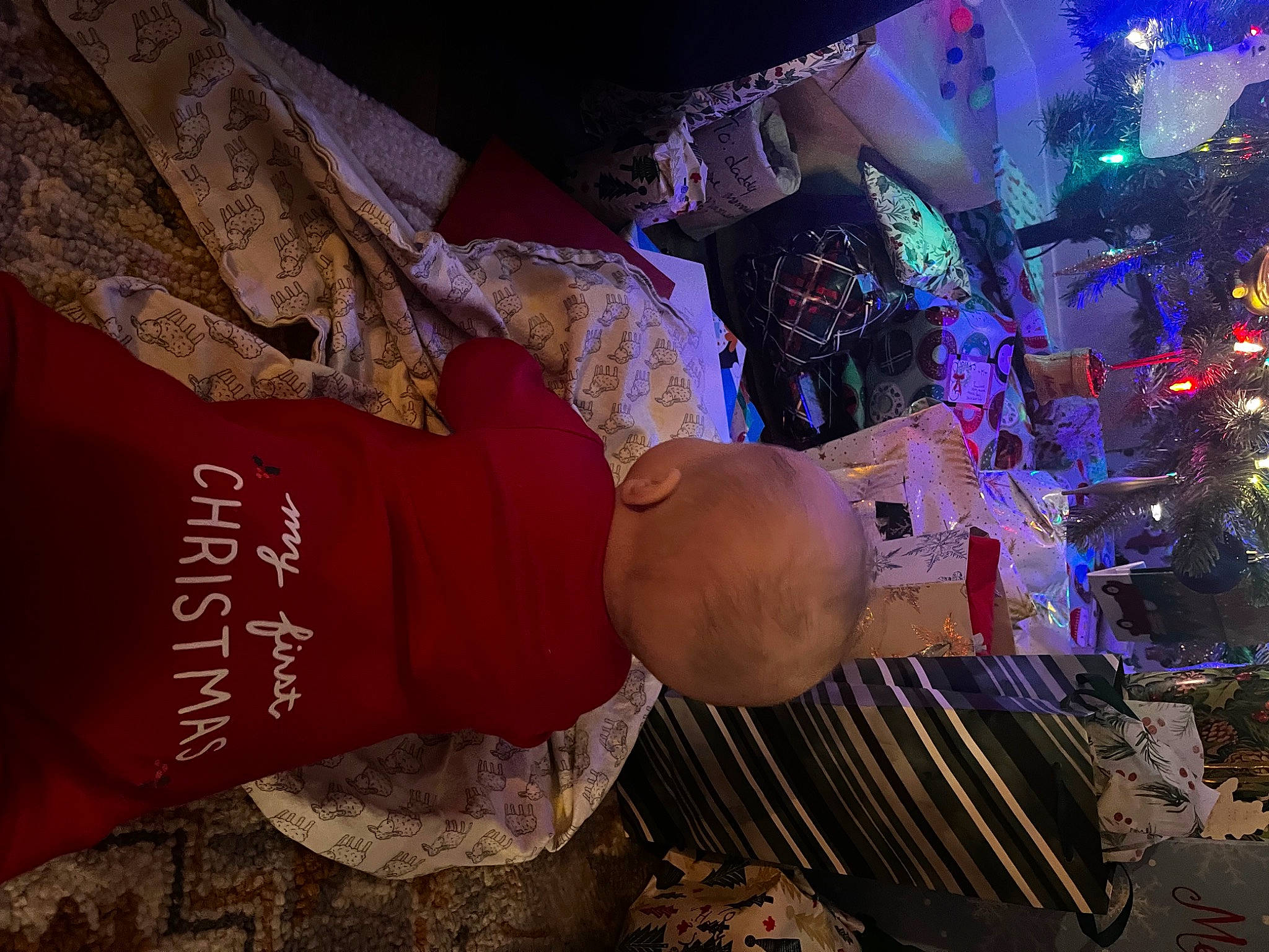 Maxwell joined the competition — help win amazing prizes! christmas_ornament, christmas_tree, event, fir, fun, holiday, leisure, magenta, night, ornament, person, pink, plant, soil, t_shirt, tradition, tree, world