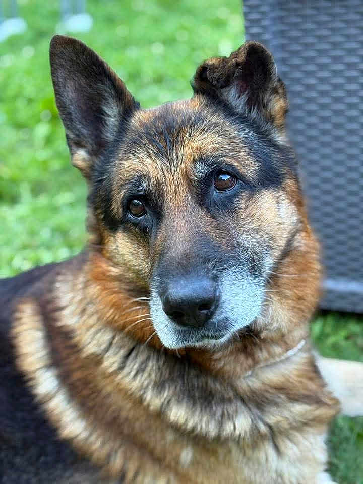 Sultan