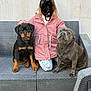 Aron a rejoint le concours — aidez-le/la à gagner de superbes lots ! child, dog, rottweiler, staffordshire_bull_terrier, outdoor, wicker_couch, pink_jacket, pajamas, pet, animal, friendship, sitting, cute, cozy, casual, portrait, leisure, furniture, wall, gravel