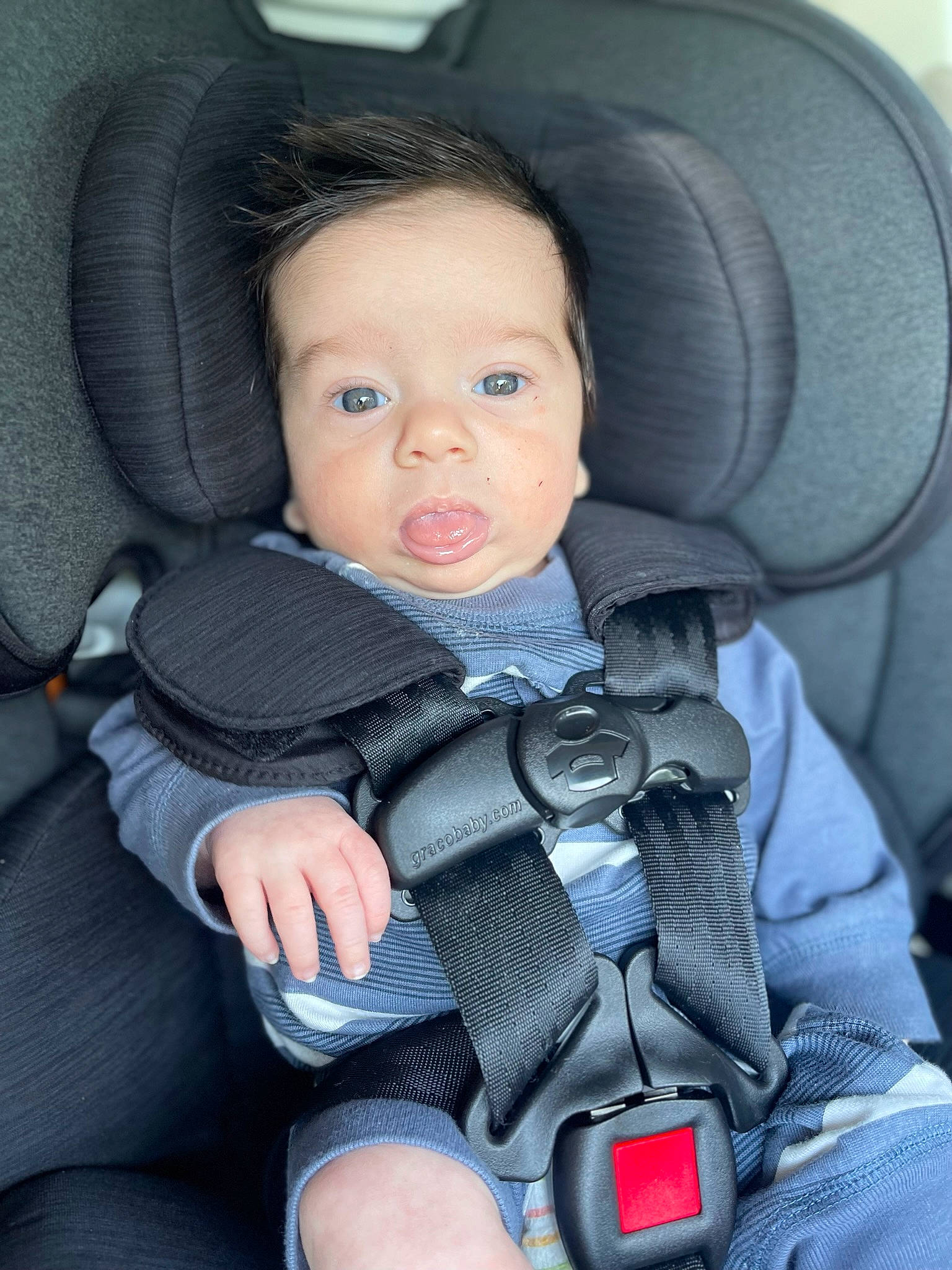 Cayde joined the competition — help win amazing prizes! auto_part, baby, baby_carriage, baby_in_car_seat, baby_products, baby_toddler_clothing, camera, car_seat, car_seat_cover, child, comfort, family_car, head_restraint, nail, person, reflex_camera, seat_belt, sitting, thumb, toddler
