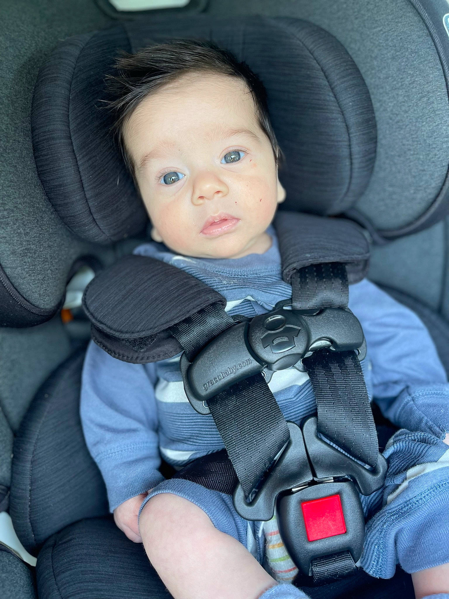 Cayde joined the competition — help win amazing prizes! auto_part, automotive_design, baby, baby_carriage, baby_products, car, car_seat, car_seat_cover, chair, child, comfort, electric_blue, eye, family_car, head_restraint, person, photograph, seat_belt, sitting, toddler