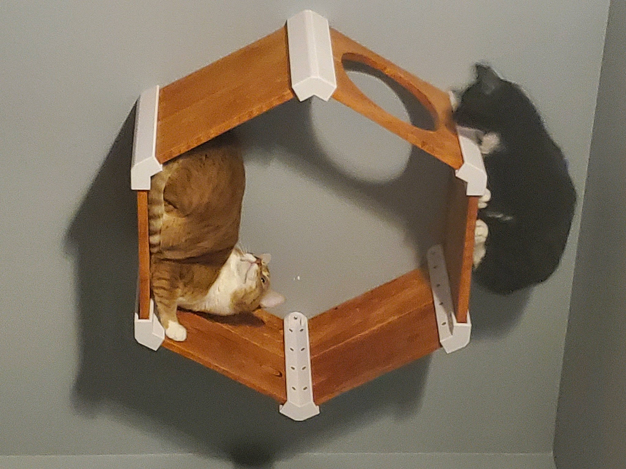 Zero is registered to the contest to win money with this photo: art, bag, box, craft, creative_arts, fashion_accessory, hardwood, home_accessories, luggage_and_bags, metal, natural_material, paper, paper_product, pet_supply, plywood, rectangle, room, toy, wood