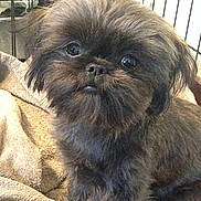 Benny is registered to the contest to win money with this photo: