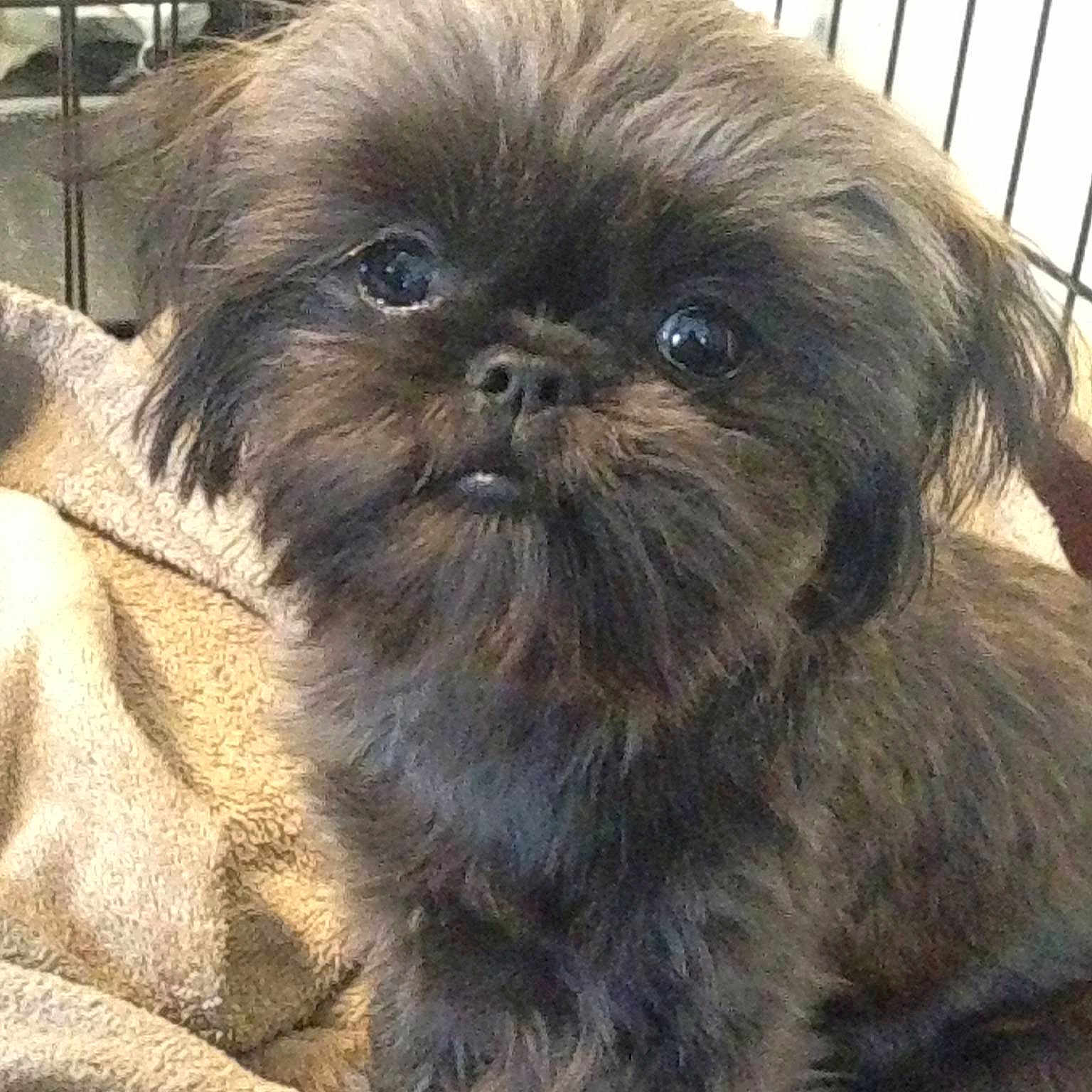 Benny