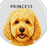 Princess joined the competition — help win amazing prizes! dog, illustration, cartoon, fluffy, golden, happy, tongue_out, cute, portrait, face, animal, pet, smile, curly_fur, head, digital_art, friendly, adorable, round_background, text