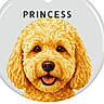 dog, illustration, cartoon, fluffy, golden, happy, tongue_out, cute, portrait, face, animal, pet, smile, curly_fur, head, digital_art, friendly, adorable, round_background, text