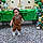 Logan