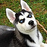 Yuna participe au concours pour gagner de l'argent avec cette photo :