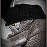 Talio participe au concours pour gagner de l'argent avec cette photo :