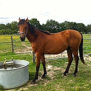 Aldo participe au concours pour gagner de l'argent avec cette photo :