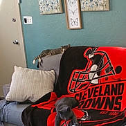 Jack is registered to the contest to win money with this photo: cat, couch, blanket, indoor, home, pillow, wall_art, butterfly_art, floral_art, teal_wall, gray_cat, tabby_cat, relaxing, resting, furniture, door, door_knob, light_switch, sports_team, cleveland_browns