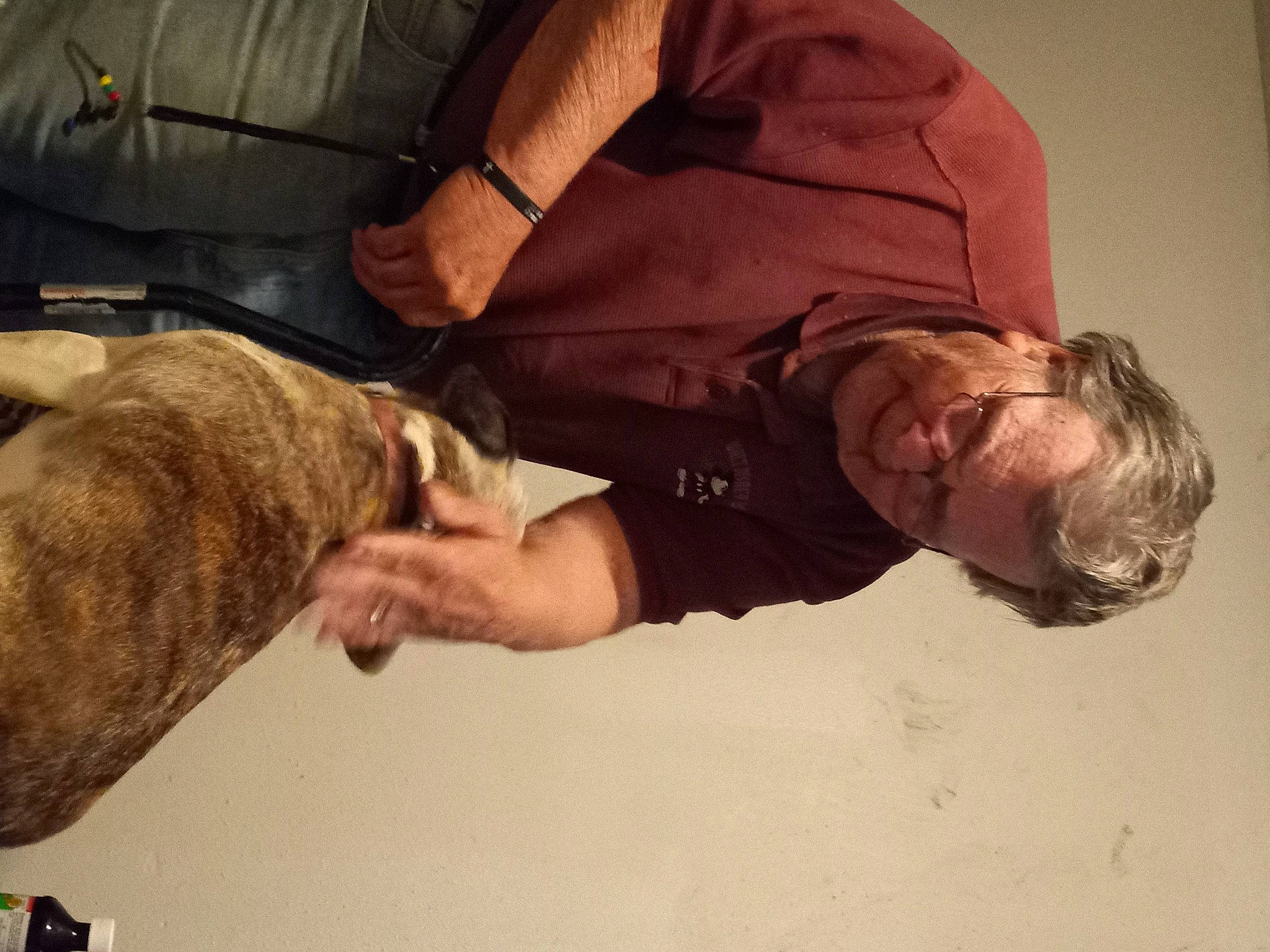 Tilly joined the competition — help win amazing prizes! camouflage, carnivore, comfort, dog, elbow, fur, gesture, joint, military, military_camouflage, military_person, military_uniform, soldier, sporting_group, wood, wrist