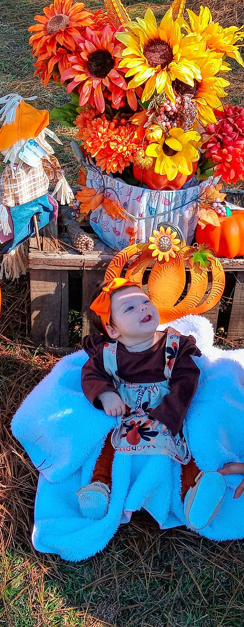 Chasity is registered to the contest to win money with this photo: blue, calabaza, cucurbita, event, gourd, happy, headgear, headwear, leaf, natural_foods, orange, person, plant, public_space, pumpkin, squash, toddler, tradition, tree, vegetable