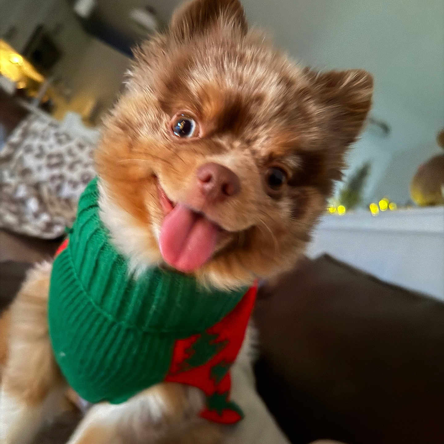 Benny Boo