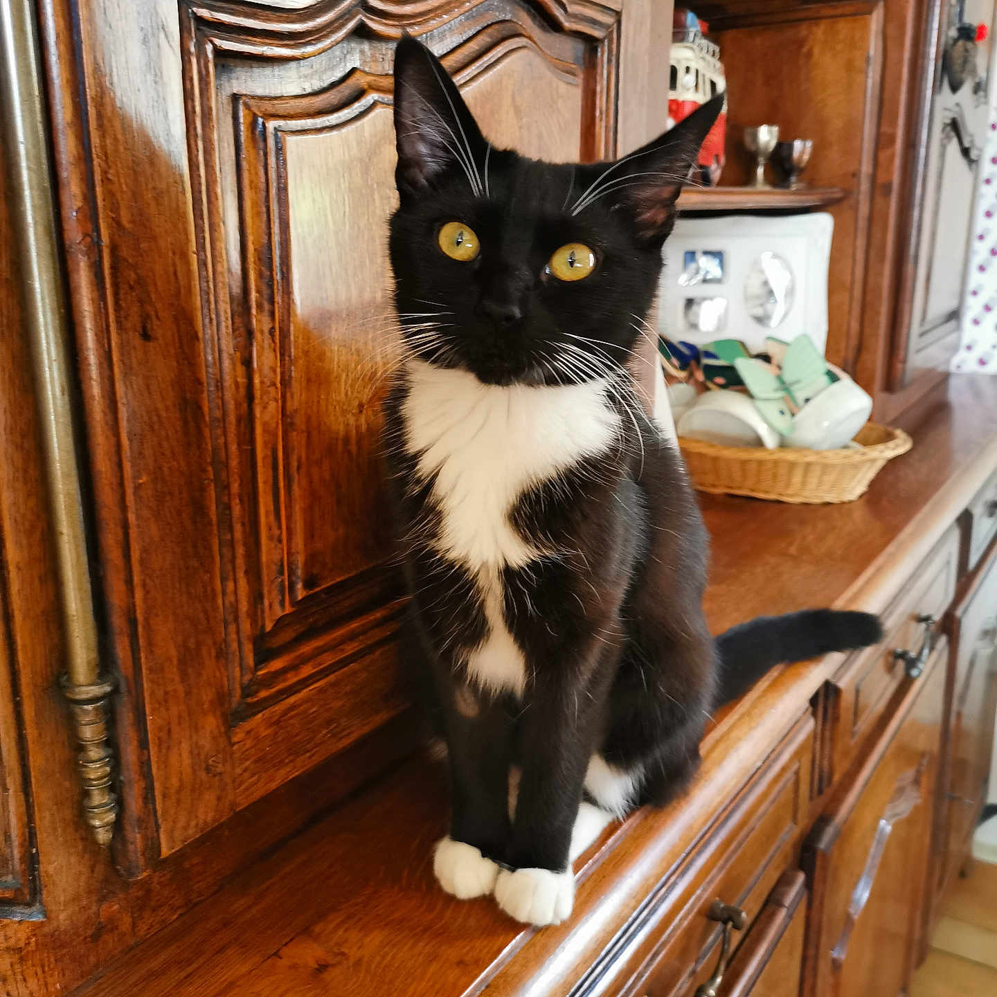 Miki