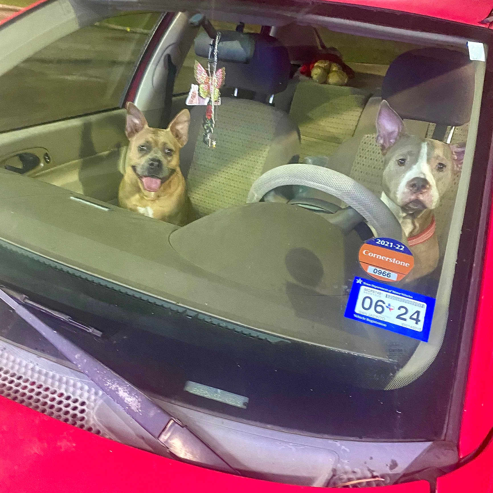 Hazel N Hadley