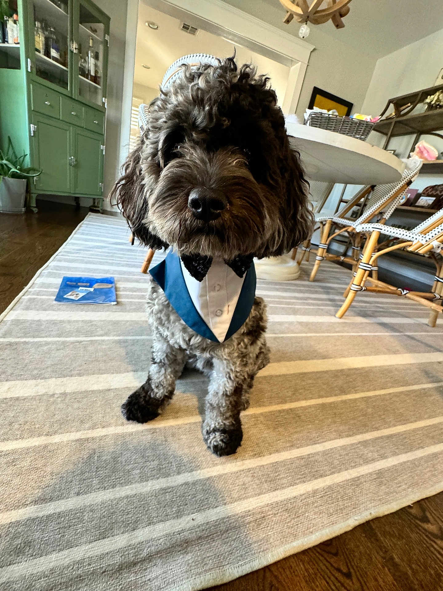 Milo