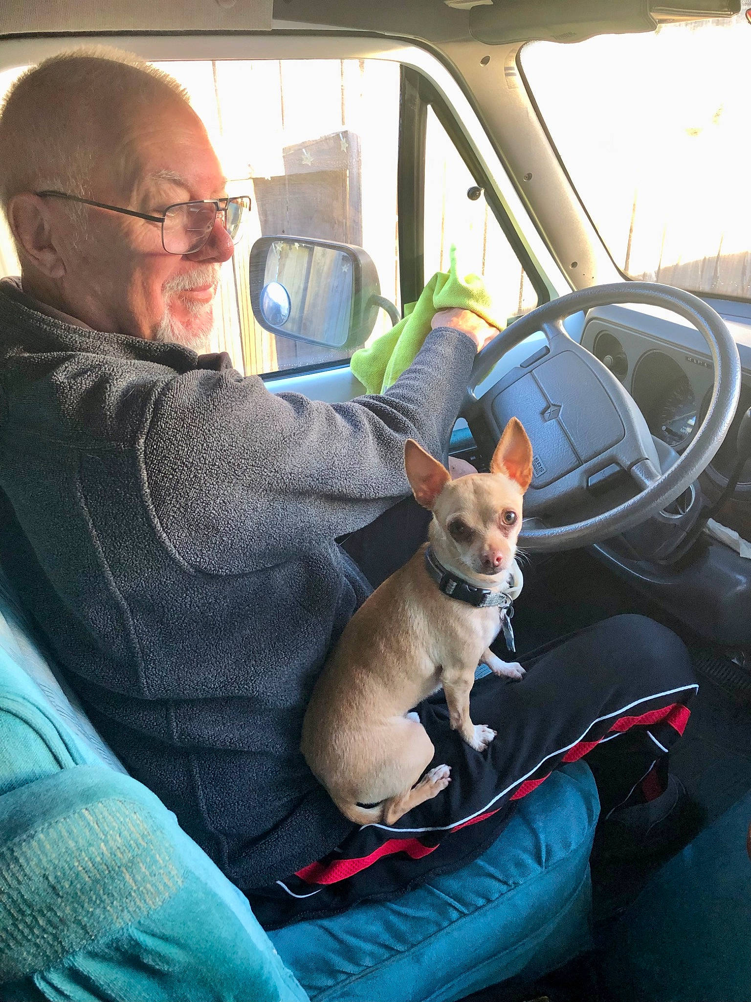 Scrappy joined the competition — help win amazing prizes! auto_part, automotive_exterior, automotive_mirror, car, car_seat, carnivore, comfort, companion_dog, dog, dog_breed, eyewear, family_car, fawn, glasses, motor_vehicle, smile, steering_wheel, vehicle, vehicle_door, window