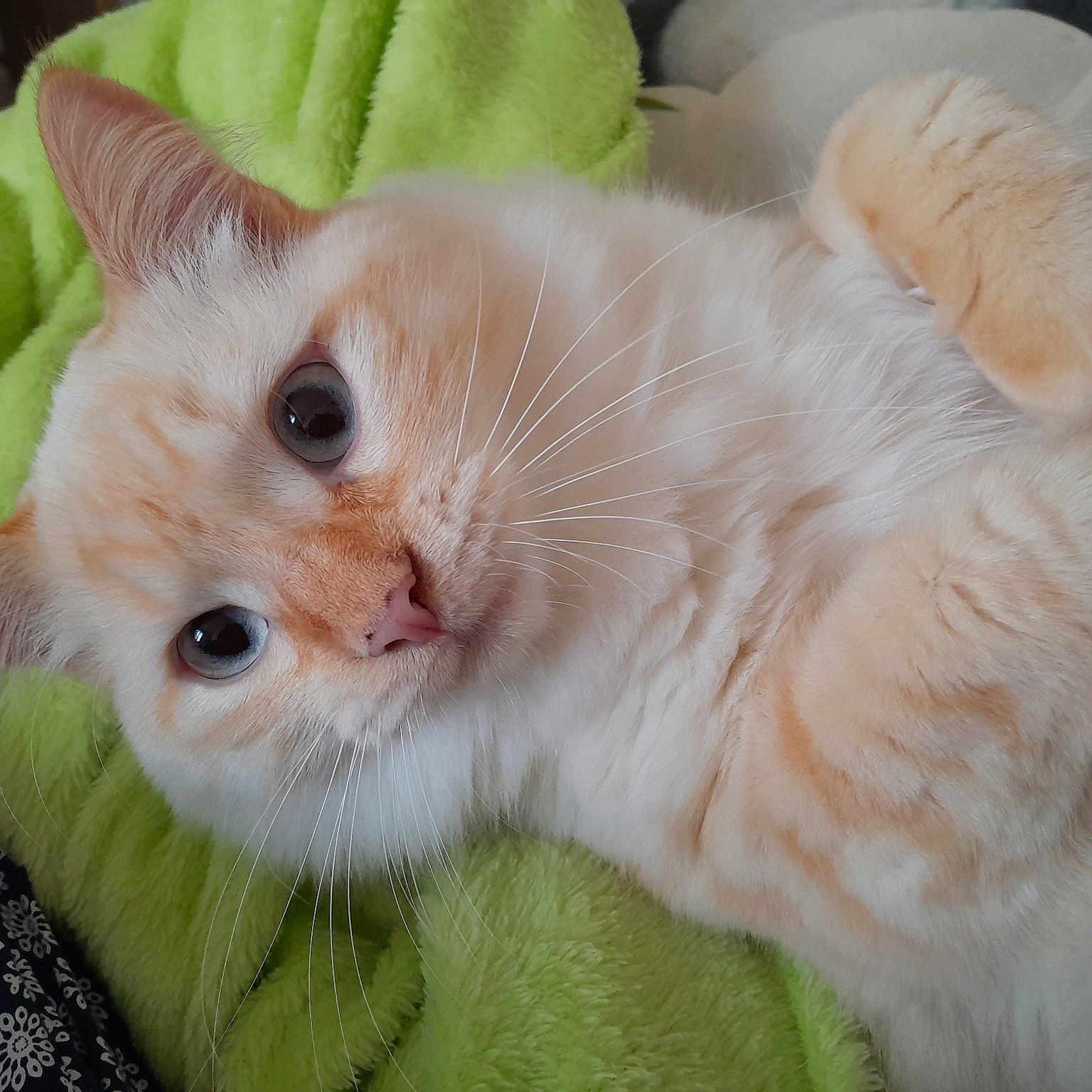 Théo