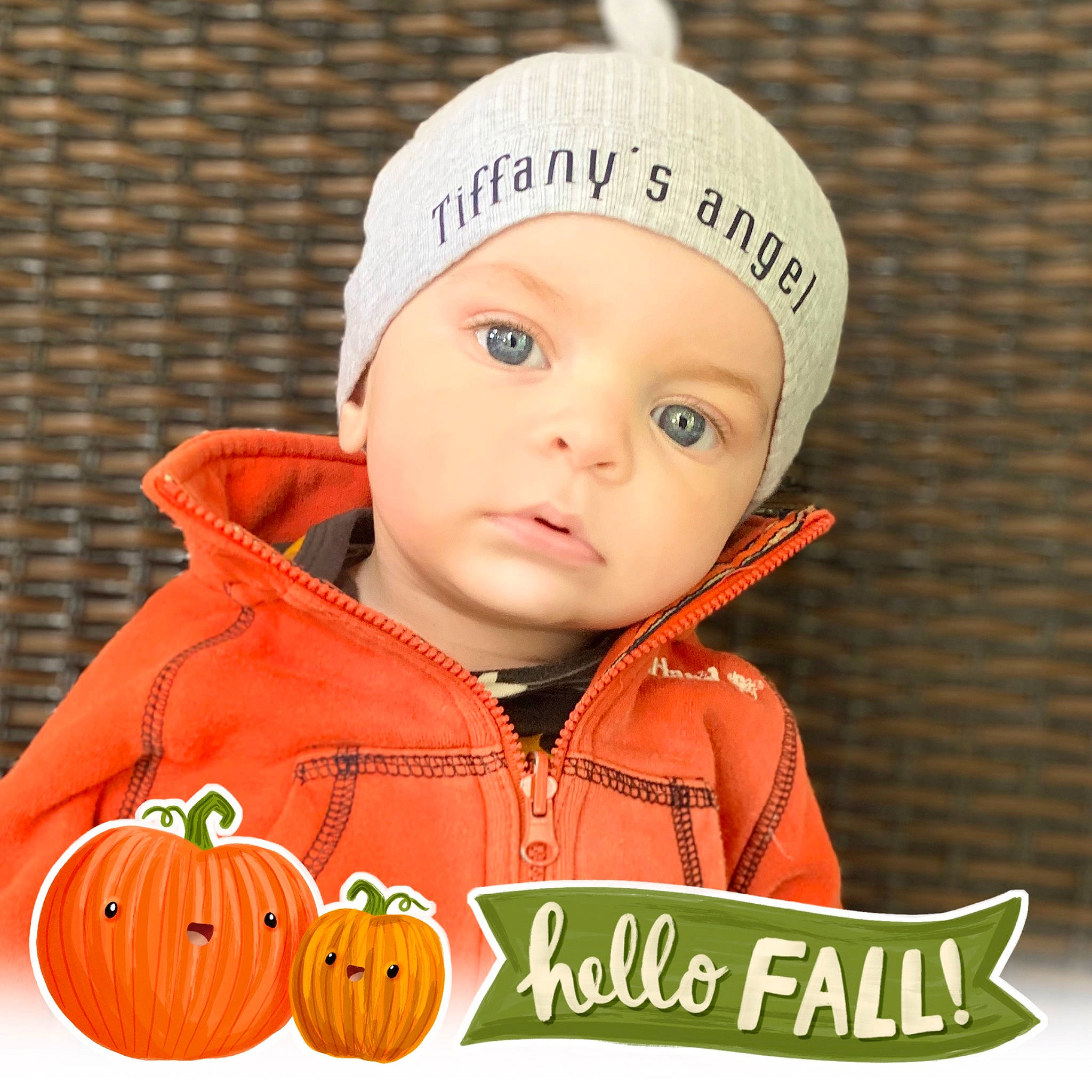 Colton is registered to the contest to win money with this photo: baby, baby_toddler_clothing, calabaza, cap, cheek, child, clothing, eye, face, facial_expression, fashion_accessory, happy, head, headwear, outerwear, person, plant, pumpkin, sleeve, toddler