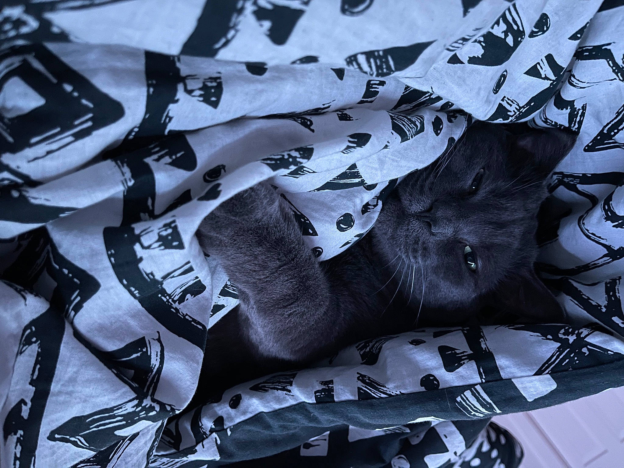 Berlioz joined the competition — help win amazing prizes! baby_toddler_clothing, black, black_and_white, board_short, carmine, denim, fashion_accessory, font, grey, linens, monochrome, monochrome_photography, pattern, personal_protective_equipment, satin, sleeve, sportswear, style, t_shirt, white