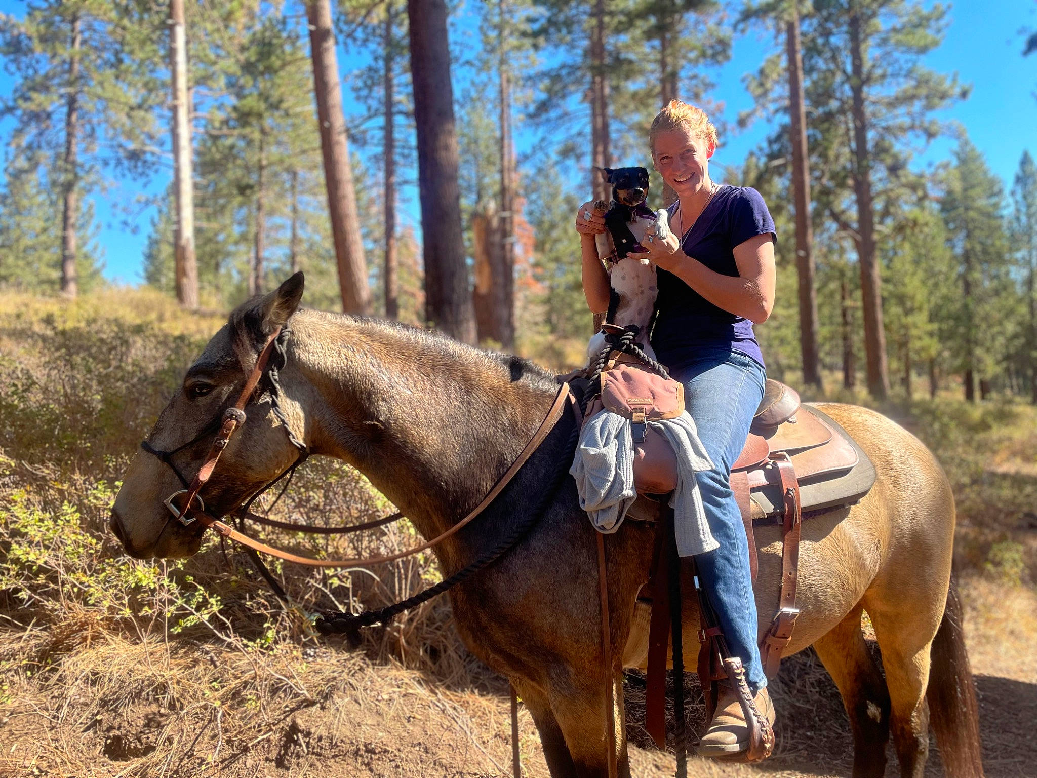 Sierra Mia is registered to the contest to win money with this photo: animal_sports, bridle, ecoregion, equestrian_sport, equestrianism, halter, horse, horse_supplies, horse_tack, landscape, outdoor_recreation, pack_animal, plant, recreation, rein, saddle, sky, tree, wood, working_animal