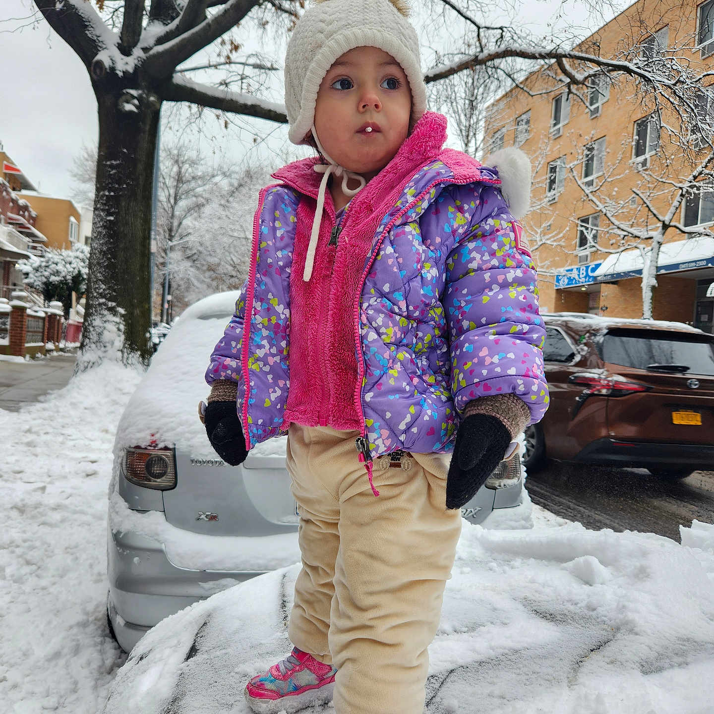 Norma is registered to the contest to win money with this photo: toddler, child, winter, snow, snowy_street, colorful_jacket, white_hat, mittens, snow_covered_car, residential_area, tree, sidewalk, curious_expression, outdoor, cold_weather, pants, sneakers, urban, daytime, person