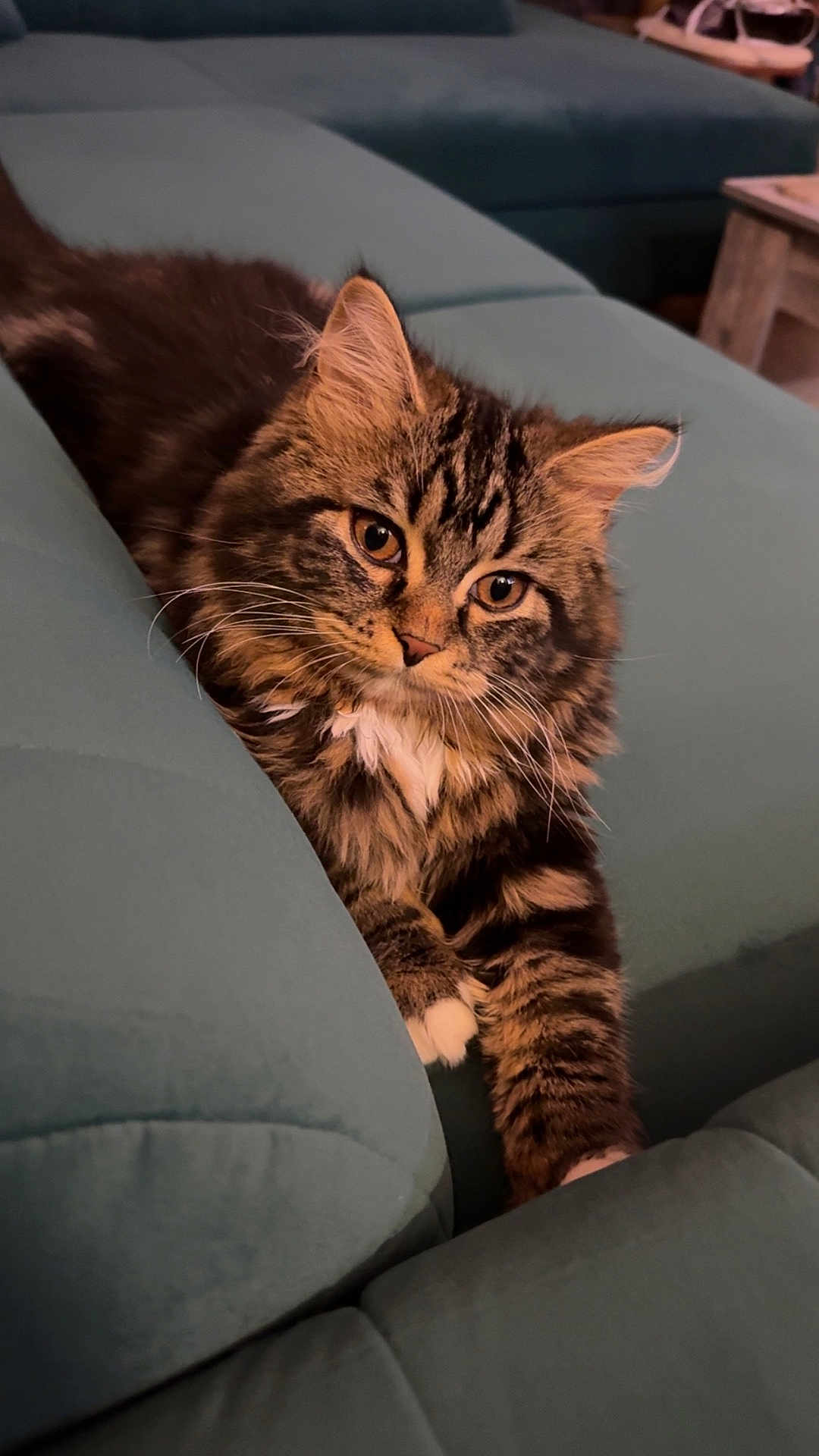 Fluffy