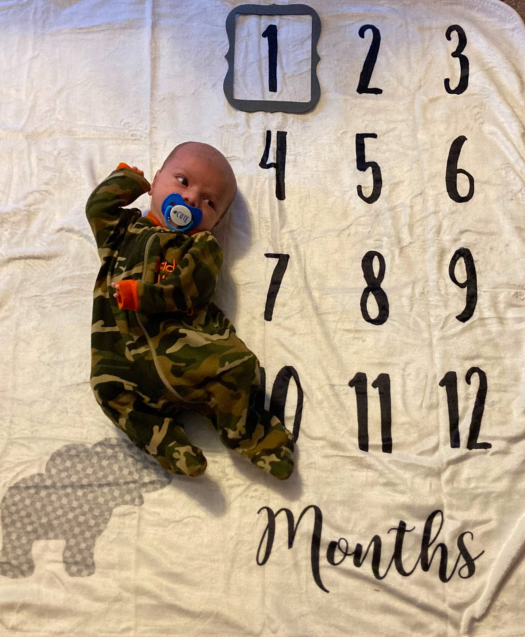 David is registered to the contest to win money with this photo: army, baby, boot, camouflage, cargo_pants, circle, clock, font, gesture, happy, marines, military, military_camouflage, military_person, military_uniform, number, pattern, person, soldier, toy