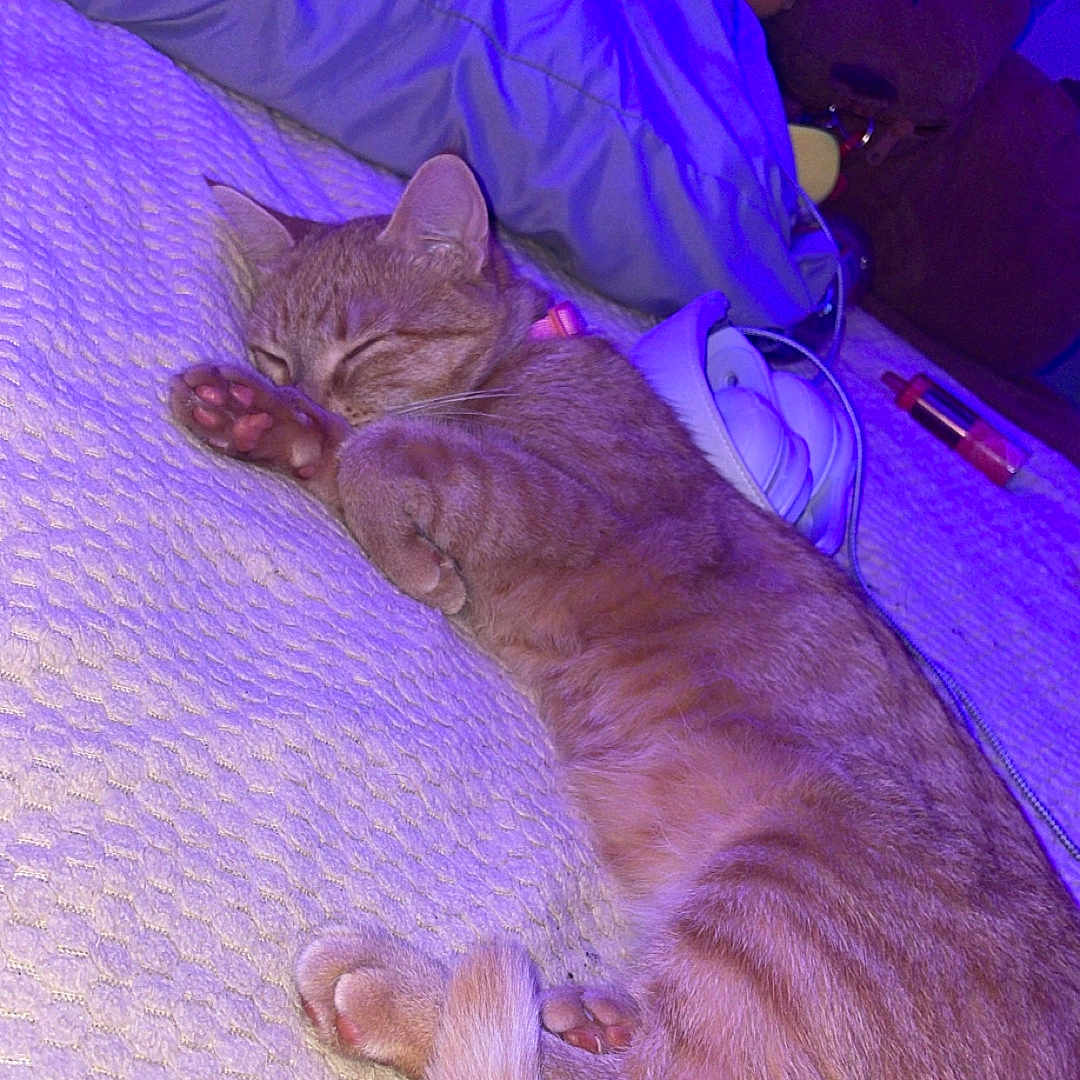 Cheez-It
