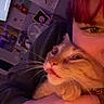 Cheez-It joined the competition — help win amazing prizes! cat, closeup, clothing, cozy, cute, expression, face, feline, hand, indoor, light, person, poster, red_hair, room, snuggle, television, tongue, wall_art, whiskers