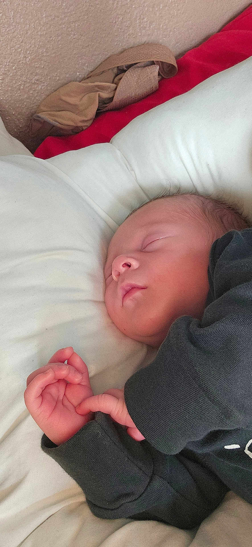 Djino a rejoint le concours — aidez-le/la à gagner de superbes lots ! baby, sleeping, newborn, infant, pillow, blanket, hand, face, clothing, rest, peaceful, cozy, indoors, soft, skin, cute, toddler, portrait, child, nap