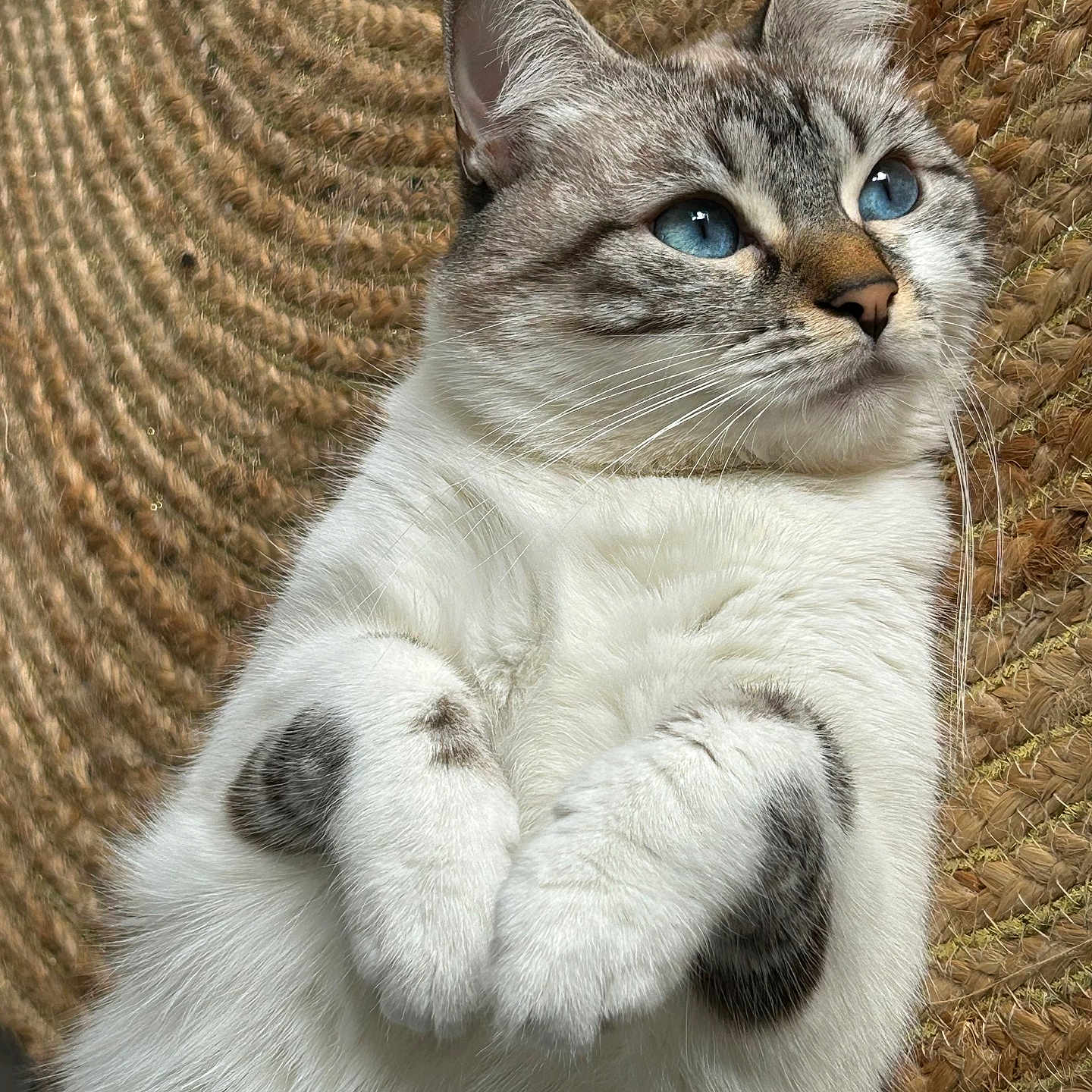 Nala