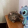 cat, tabby_cat, plush_toy, stitch, wooden_surface, indoor, relaxed, pet, animal, feline, stuffed_animal, decor, soft_toy, wallpaper, resting, cute, domestic_animal, brown, gray, cozy