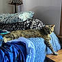 cat, tabby_cat, bed, pillow, blanket, nightstand, lamp, indoor, furniture, sleepy, relaxed, stretching, paw, wood, pattern, wall, painting, home, cozy, natural_light